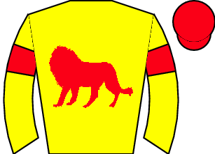 Horse silk