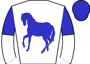 Horse silk