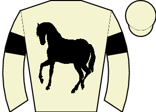 Horse silk