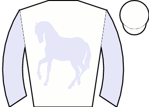 Horse silk