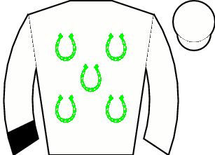 Horse silk