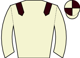 Horse silk