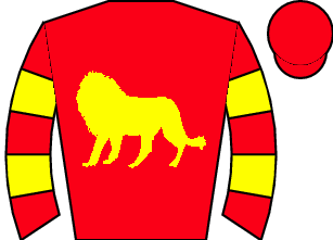 Horse silk