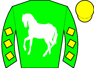 Horse silk