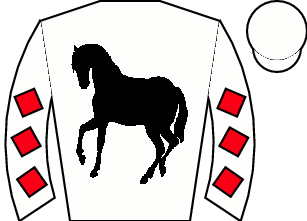 Horse silk