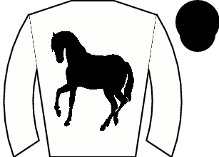 Horse silk