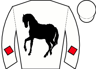 Horse silk