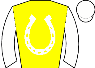 Horse silk