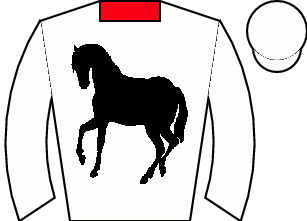 Horse silk