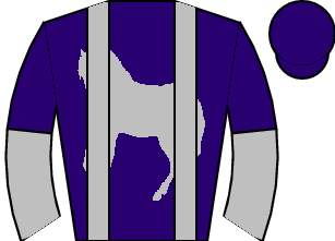 Horse silk