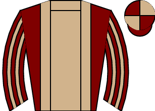 Horse silk