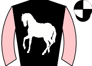 Horse silk