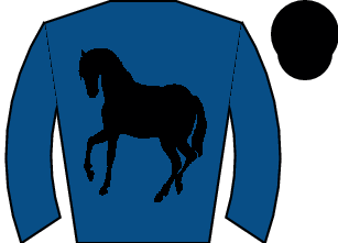 Horse silk