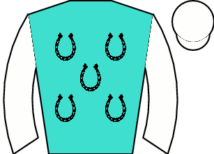 Horse silk