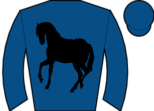 Horse silk