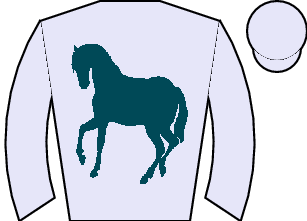 Horse silk