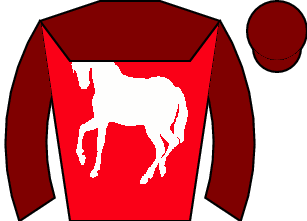 Horse silk