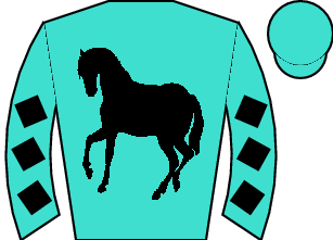 Horse silk