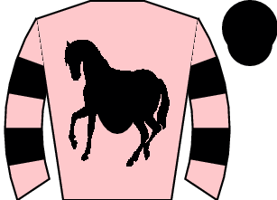 Horse silk