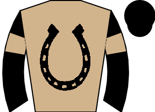 Horse silk