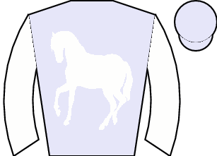 Horse silk