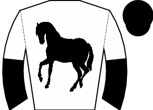 Horse silk