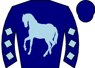 Horse silk