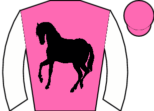 Horse silk