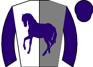 Horse silk