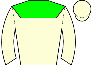 Horse silk