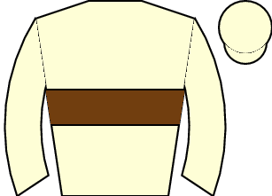 Horse silk