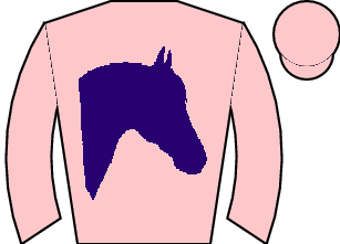 Horse silk