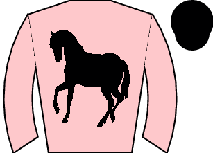 Horse silk