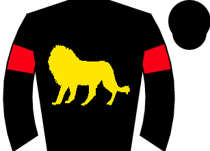 Horse silk