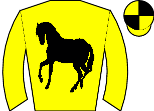 Horse silk