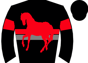 Horse silk