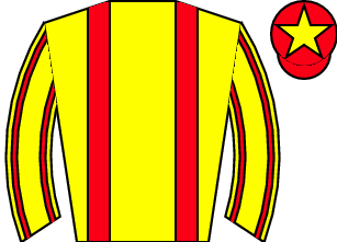 Horse silk