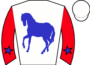 Horse silk