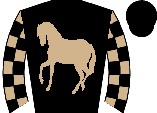 Horse silk