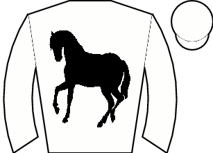 Horse silk