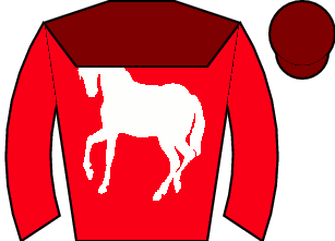 Horse silk