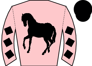 Horse silk