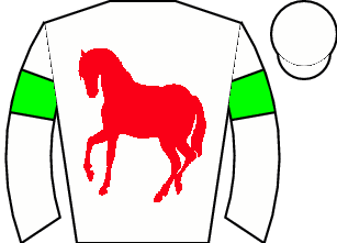 Horse silk