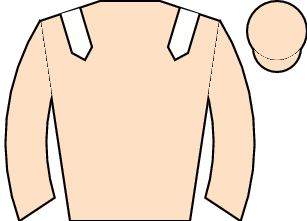 Horse silk