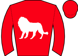 Horse silk