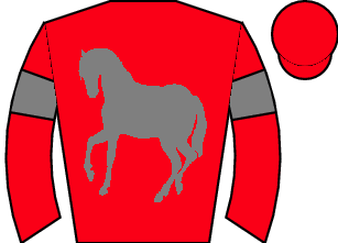 Horse silk