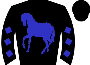 Horse silk