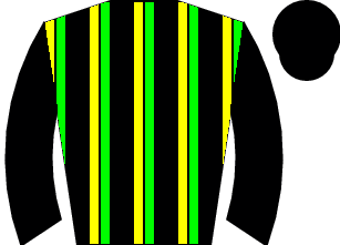 Horse silk