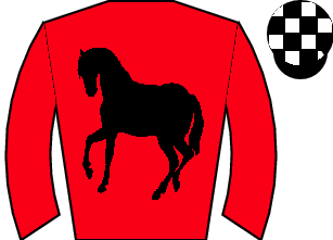 Horse silk