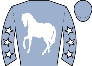 Horse silk